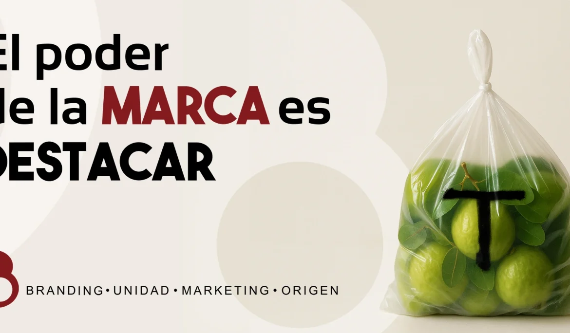 Creación de marca. Estrategia